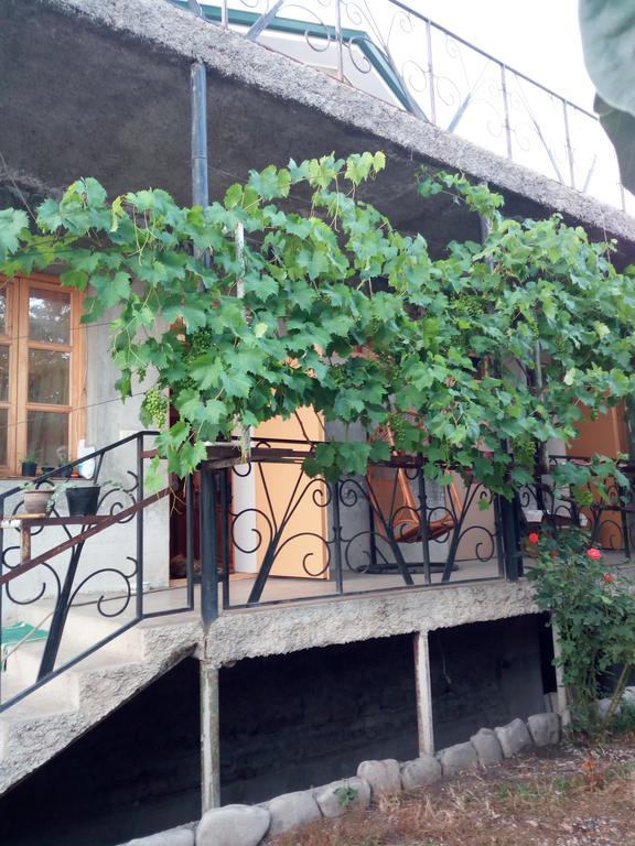 Green House Kachretʼi Kültér fotó